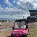 ㈜우도전기렌트카 | 🌴 우도 전기렌트카 라이딩 후기 (핑크붕붕이 팁까지!)