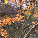 강당동 화장실 이미지