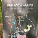불암산 힐링타운 순환산책로, 나비정원 철쭉 이미지