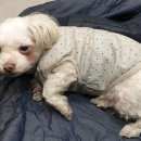 황지동우체국 이미지