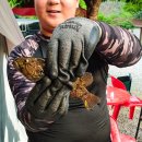 구름계곡캠핑장 이미지