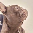 네발로갈때까지 이미지