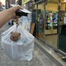 도누팜 | 원주터미널맛집 매운갈비찜 김치찌개 맛집 ‘도누팜’ 포장 후기