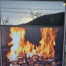 자연산산꼼장어 이미지