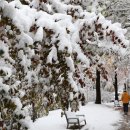 권선3공원 이미지