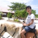 Horseback riding.. 이미지