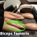 신통가정의학과의원 이미지