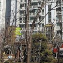 사임당로1-2 이미지