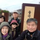 율곡길 Daum카페