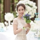 (주)파라다이스웨딩 이미지