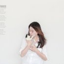 덕수네애견 이미지
