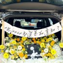 플로피아 이미지