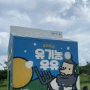 상희목장 | [충남 보령] 우유 아이스크림이 너무 맛있는 #우유창고 | 애견동반 까페