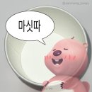종로3가_쌍둥이네 [종로3가 탑골공원 야장 포장마차...얼른 가세요 안주 추천 맛집 내돈내산 간단후기]