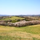 한우목장 이미지