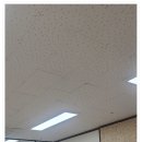 블랙스칼프