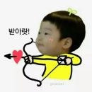 하바나익스프레스