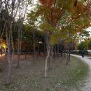 농업체험공원 이미지