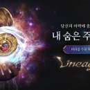 미라클 이미지