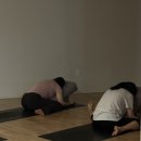 나즈 요가