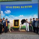 은선목장 이미지