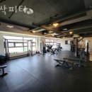 새싹피티 이미지