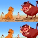 하쿠나 마타타 이미지