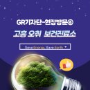 고흥-8호 이미지