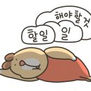 (주)셀러잡 이미지