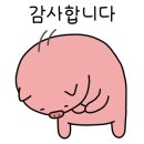 두코 매봉역점 이미지