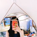돌고래여행사주