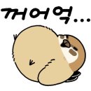 허구한날 - 삼척시 대학로 51 | 허구한날