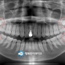 행복한미래치과