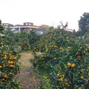 현승농장 이미지