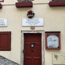 4825 | 체스키, 고사우 호수, 할슈타트 차량 투어 후기 (프라하에서 할슈타트 가는법)