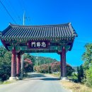 배롱나무거리 이미지