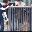 사자공인중개사사무소 이미지