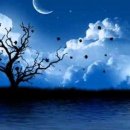 Sentimenta 이미지