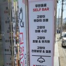 예뻐질:개&고양이카페 | [집사의 일상] 구미 예뻐질개&amp;고양이 카페 방문 후기