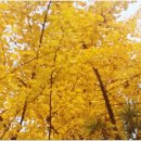 세븐일레븐 고척청마루점 이미지