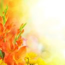 우리 늘 이미지