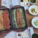 기통찬장어 이미지