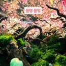 머리 바꾸기 | 미용실 중단발 레이어드컷 추천 및 후기| 무거운 머리 가볍게 바꾸기와 스타일링 관리 비법 노하우 공개