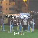 올바른 참견 이미지