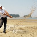충청남도 태안군청소년수련관 이미지