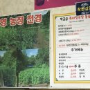 박금순농장 | 양평맛집 건강밥상맛집 박금순특허청국장돌솥밥 내돈내산후기