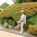 바람과 구름 이미지