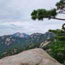 응봉공원3 이미지