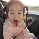 선산동물병원 이미지