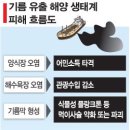 충남기름집 이미지
